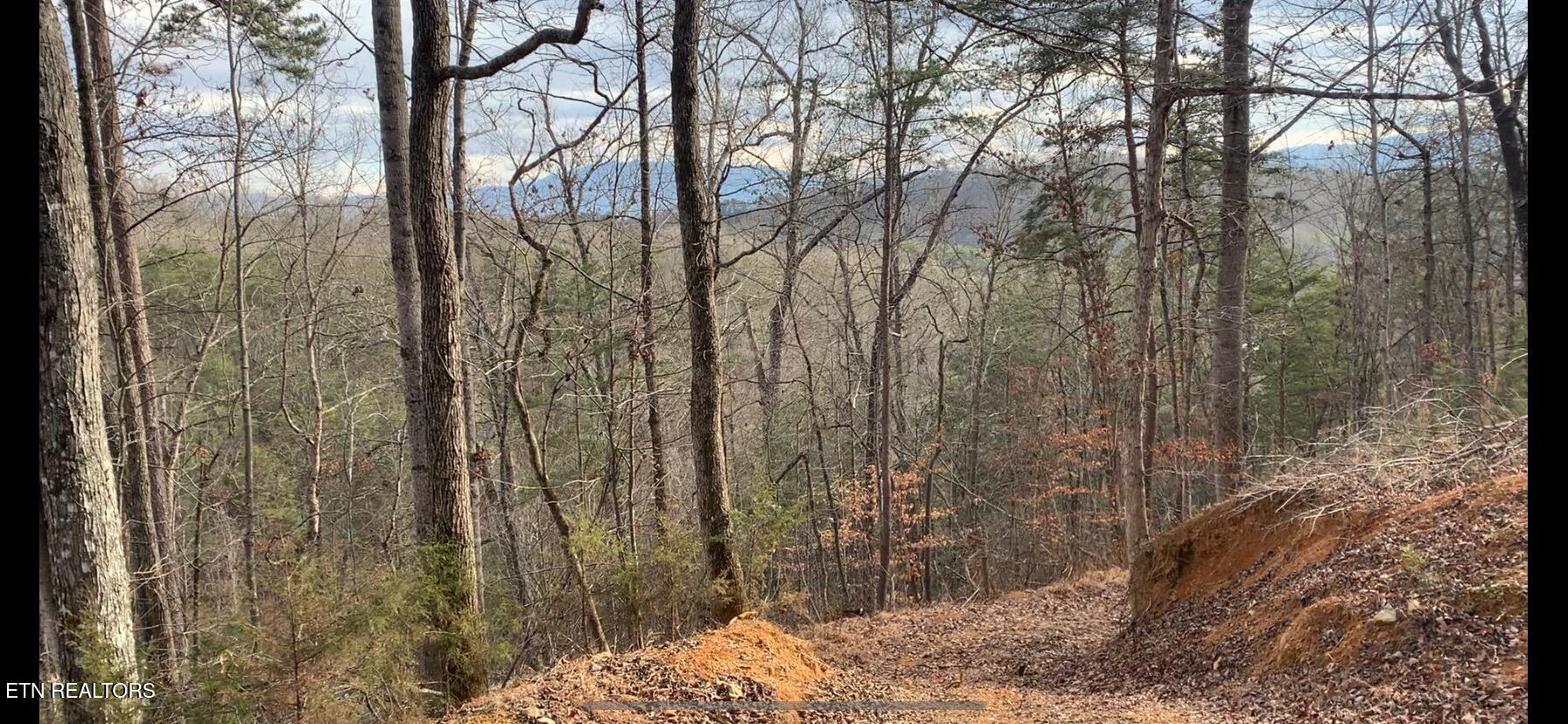 1009 Franklin Way Sevierville, TN 37876 - Photo 18 of 27 IMG_7250 (1)