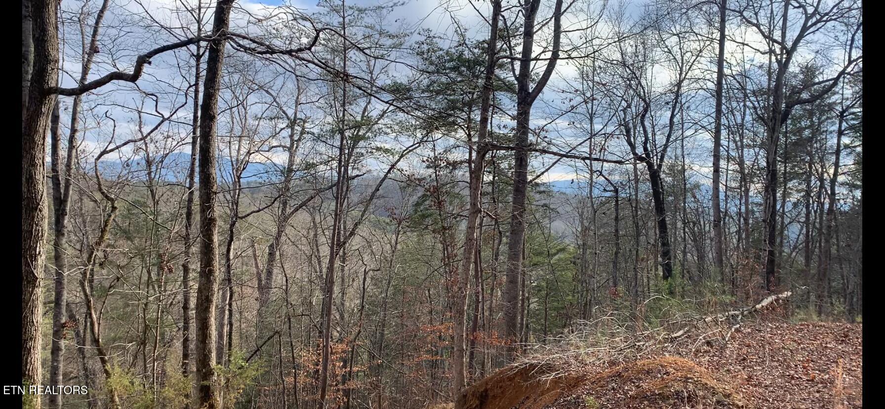 1009 Franklin Way Sevierville, TN 37876 - Photo 20 of 27 IMG_7256 (1)