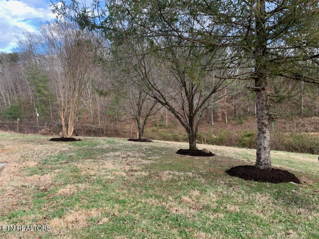 1009 Franklin Way Sevierville, TN 37876 - Photo 21 of 27 IMG_7193