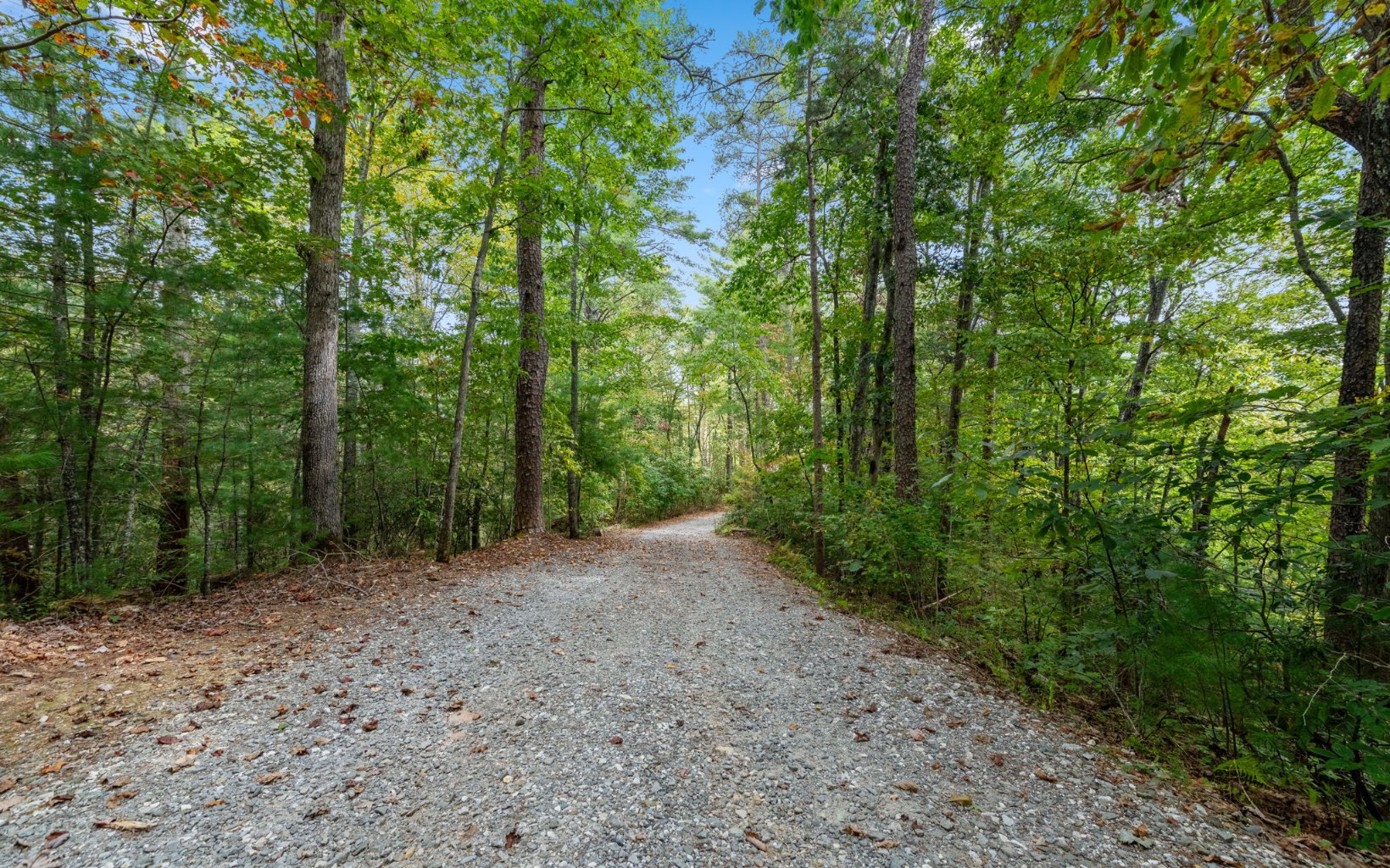 651 Pony Ghost Trail Blue Ridge, GA 30513 - Photo 50 of 57 Additional View
