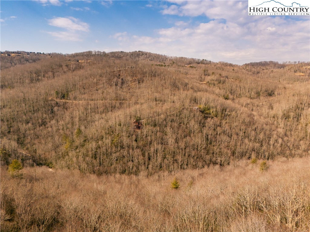 1122 Pine Ridge Road Beech Mountain, NC 28604 - Photo 21 of 38 a view of a dry yard with mountains in the background