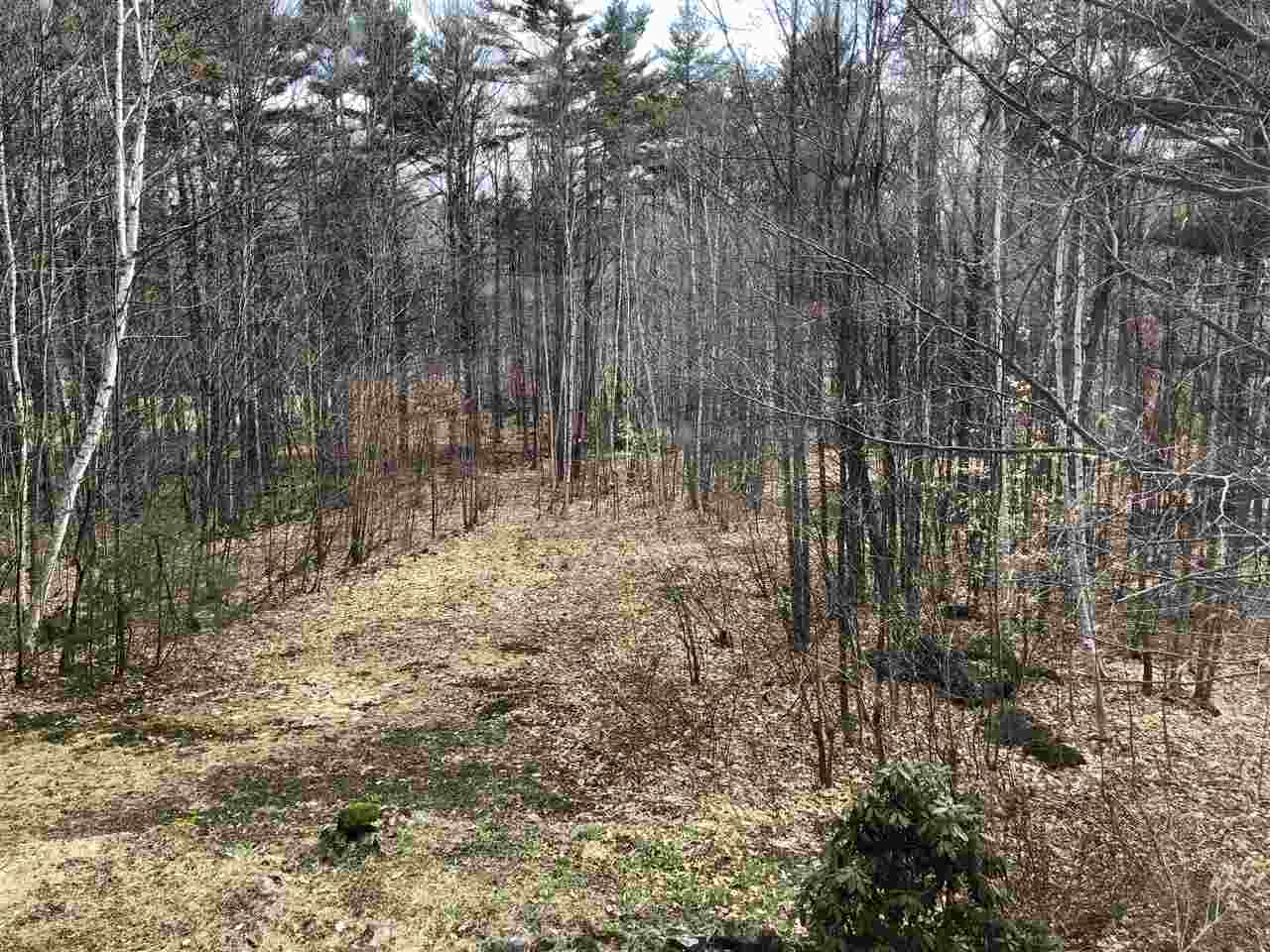 109 Foggs Ridge Road Ossipee, NH 03864 - Photo 26 of 40