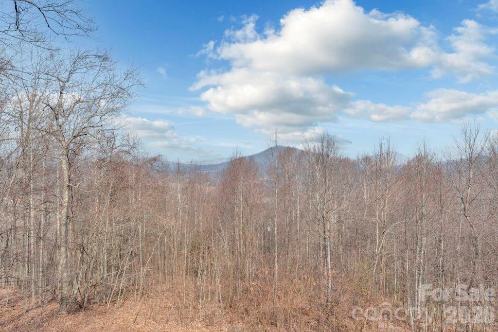 461 Arrowhead Ridge Road Spruce Pine, NC 28777 - Photo 41 of 42