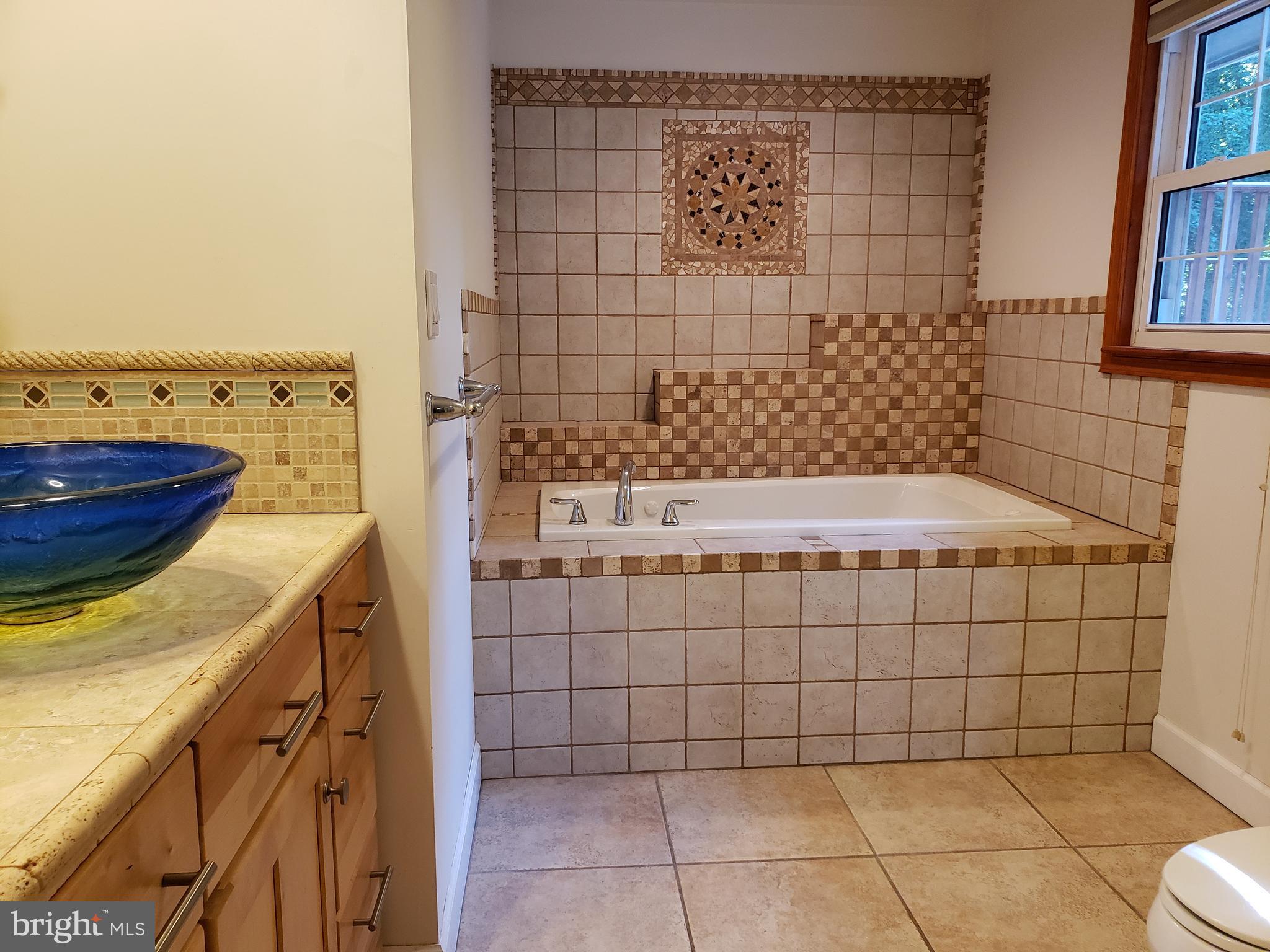 427 Chesterville Road Landenberg, PA 19350 - Photo 11 of 22 Luxurious master bath