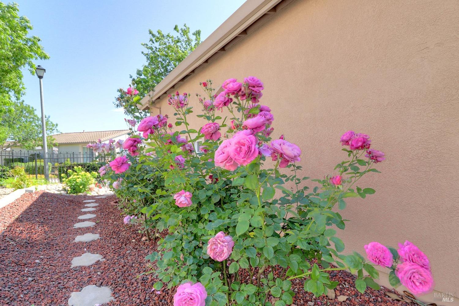 110 Foxwood Lane Rio Vista, CA 94571 - Photo 40 of 79