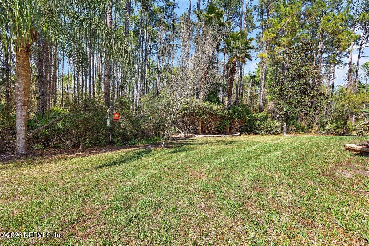 436 Chattan Way Fruit Cove, FL 32259 - Photo 33 of 41 a view of backyard with green space