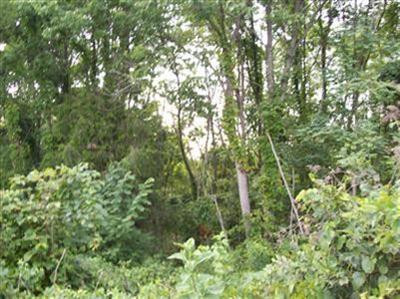 5 Pea Ridge Road Stamping Ground, KY 40379 - Photo 4 of 9 Photo 4