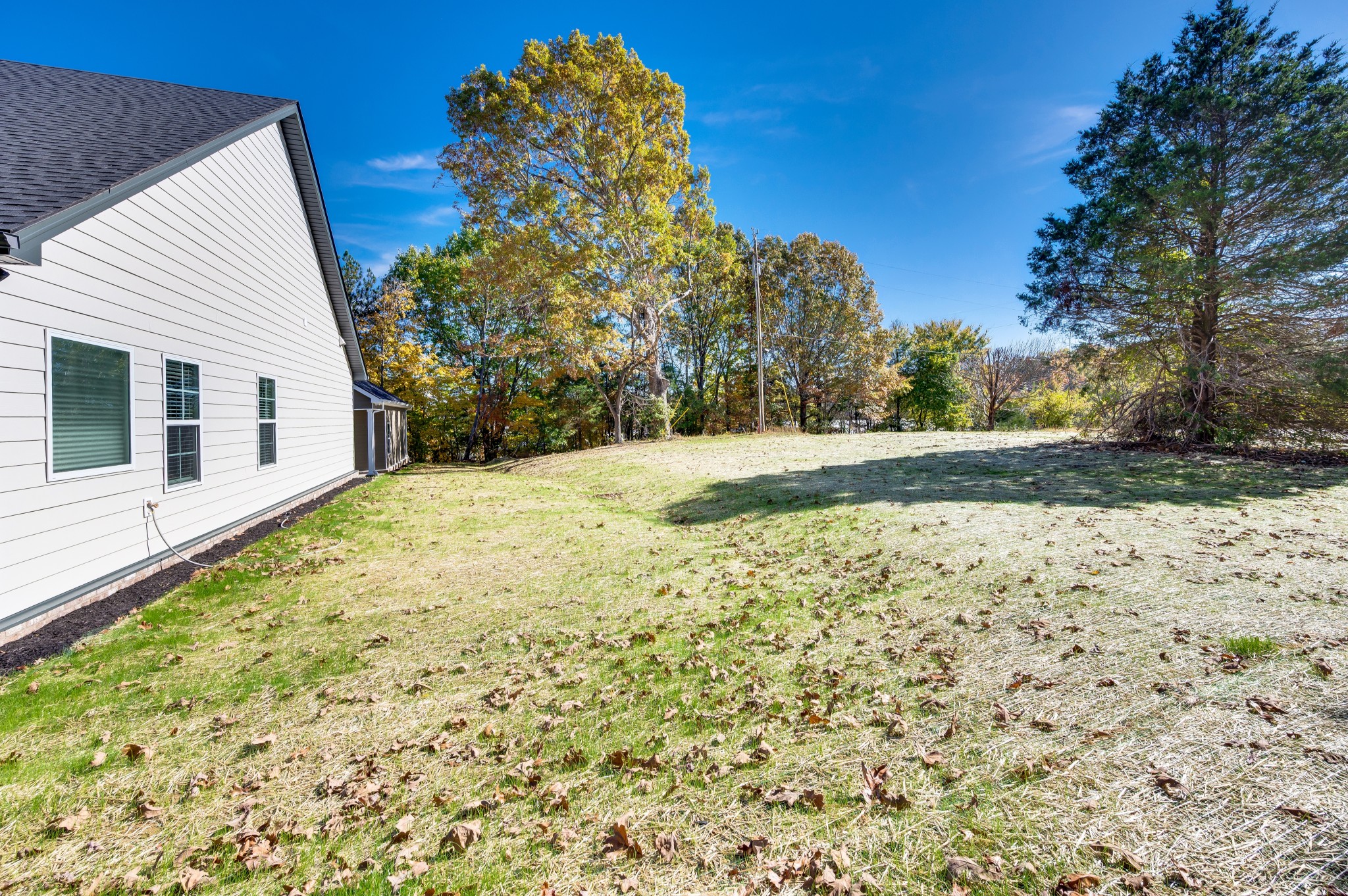 7091 Wiley Circle Fairview, TN 37062 - Photo 31 of 32 a view of a backyard of the house