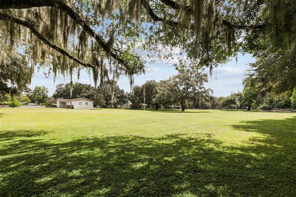 10232 Buck Road Orlando, FL 32817 - Photo 14 of 24 Gallery Image 14