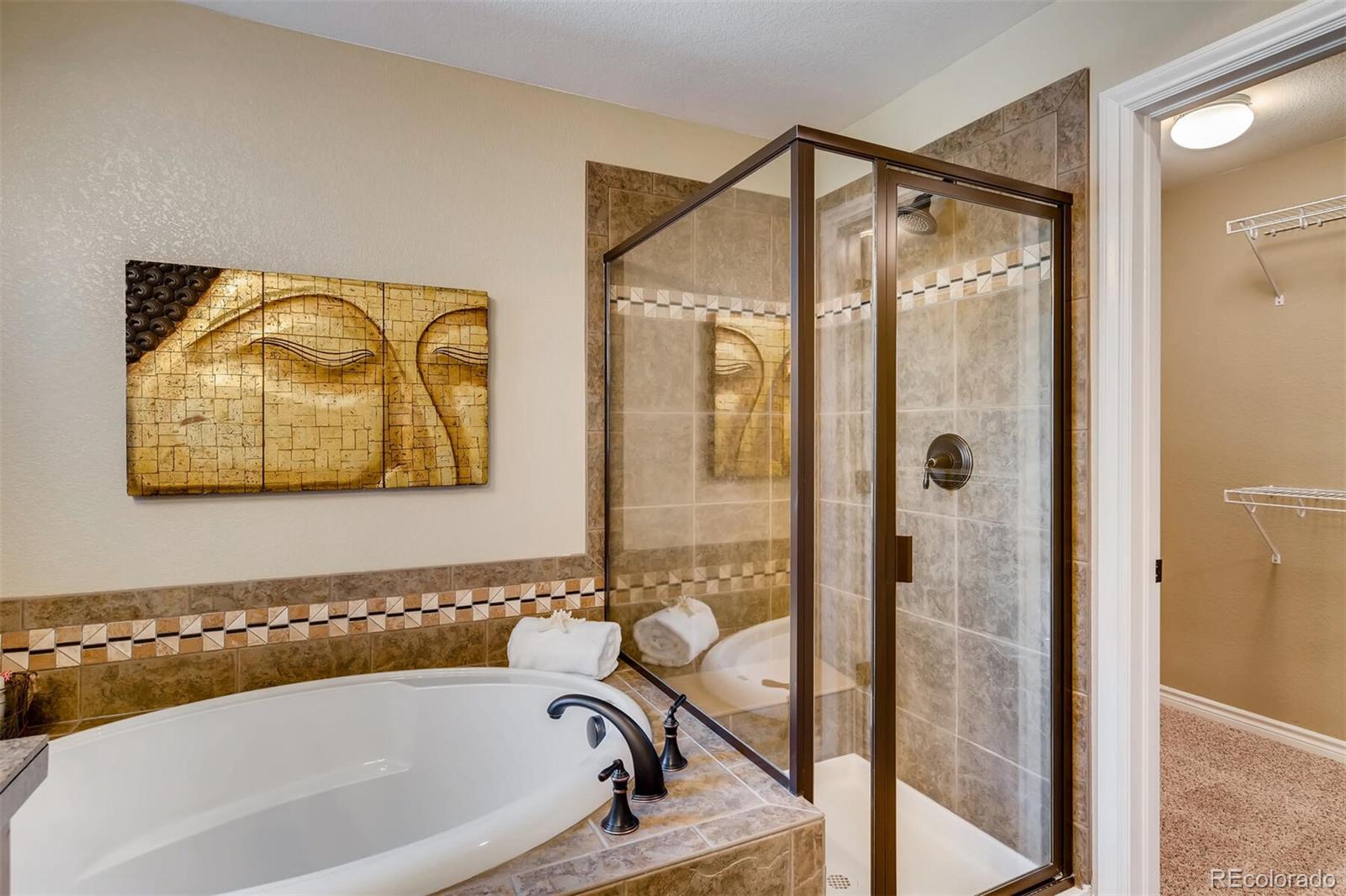 9139 Viaggio Way Highlands Ranch, CO 80126 - Photo 14 of 20