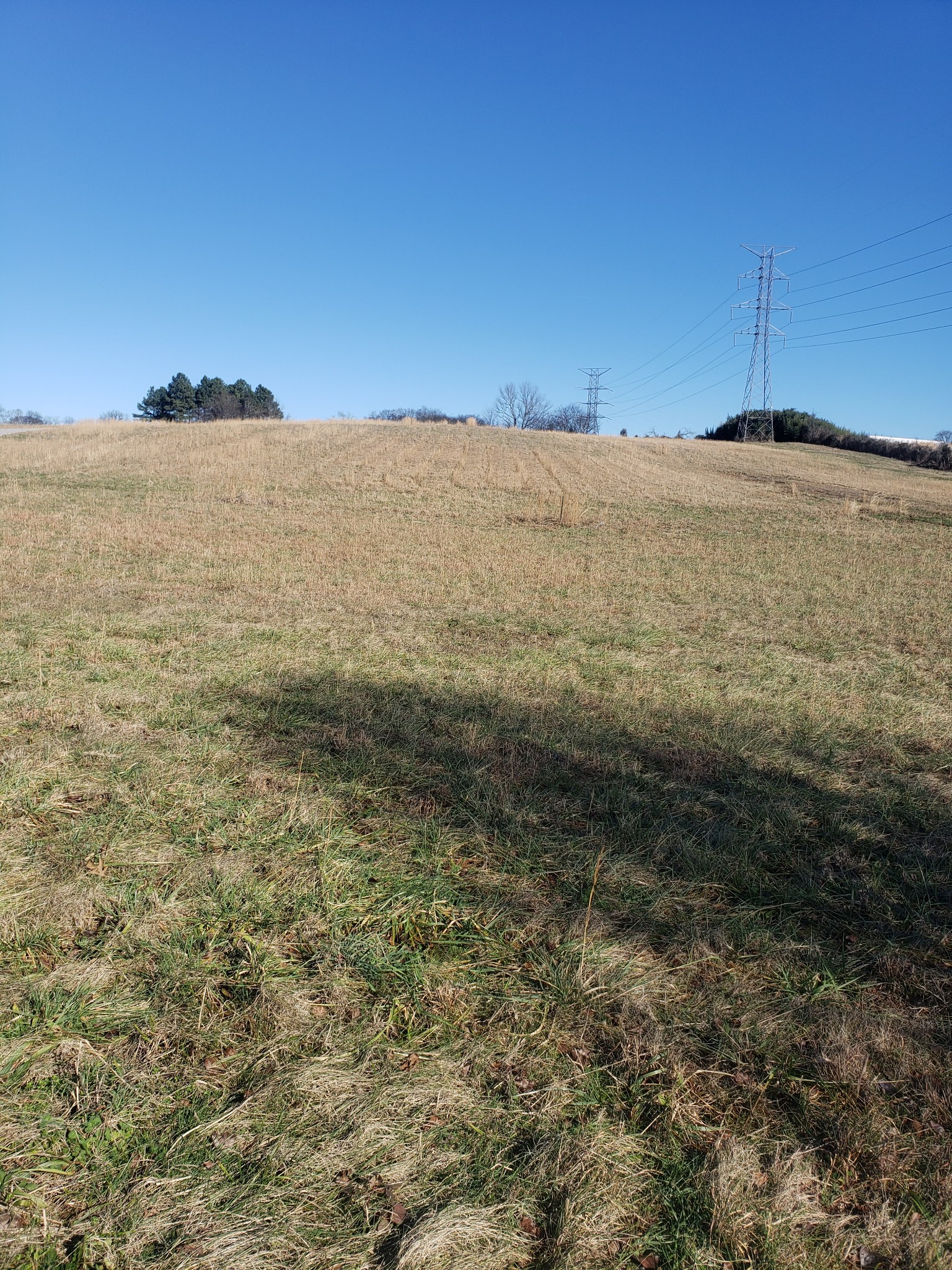 6 A Butler Road Columbia, TN 38401 - Photo 3 of 7 a view of ocean view