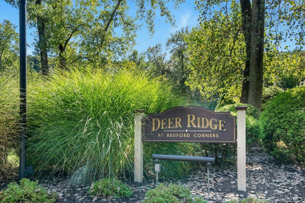 12 Deer Ridge Road Bedford Corners, NY 10549 - Photo 31 of 33 Gallery Image 31