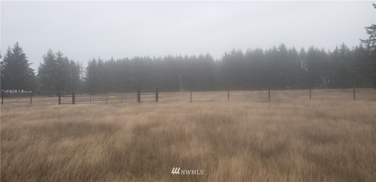 18431 Old Highway 99 Southwest Rochester, WA 98579 - Photo 21 of 23 Gallery Image 21