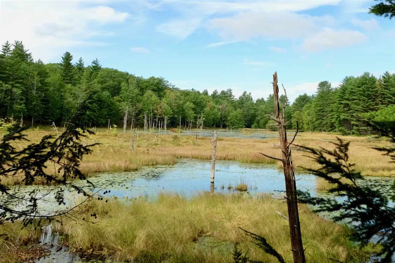 855 Old Turnpike Road Salisbury, NH 03268 - Photo 15 of 40
