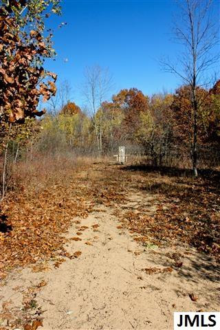 12078 Townsend Road Milan, MI 48160 - Photo 18 of 18 Photo 18
