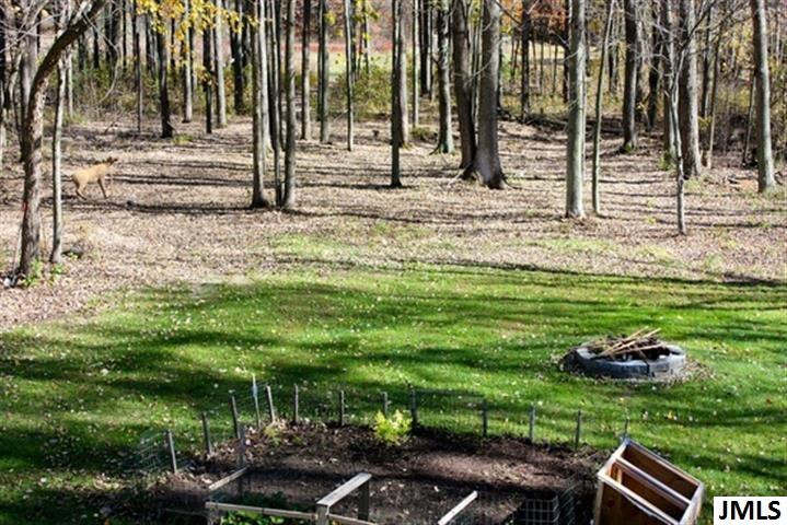 12078 Townsend Road Milan, MI 48160 - Photo 4 of 18 Photo 4