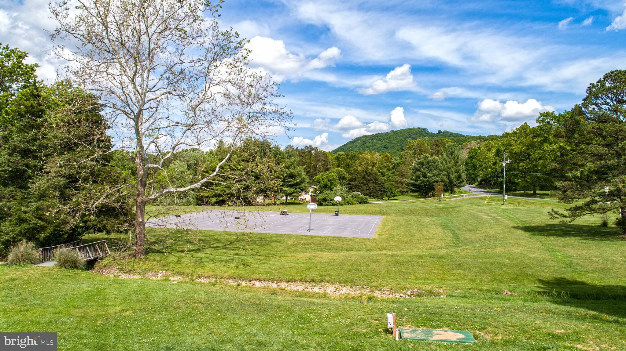 93 Cappy Road Linden, VA 22642 - Photo 38 of 67 Shenandoah Farms John Shipe Park