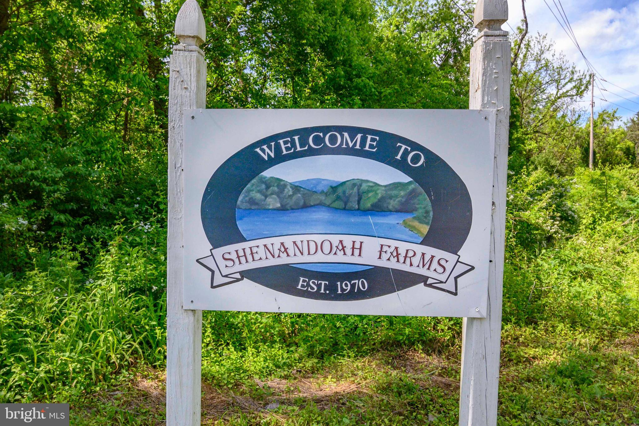 93 Cappy Road Linden, VA 22642 - Photo 41 of 67 Shenandoah Farms Lane Rec Park