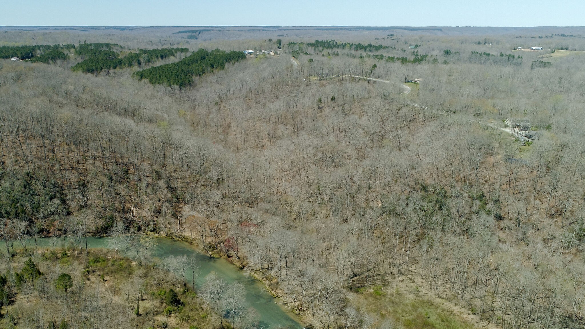 2484 Buffalo Road Hohenwald, TN 38462 - Photo 12 of 14 Gallery Image 12