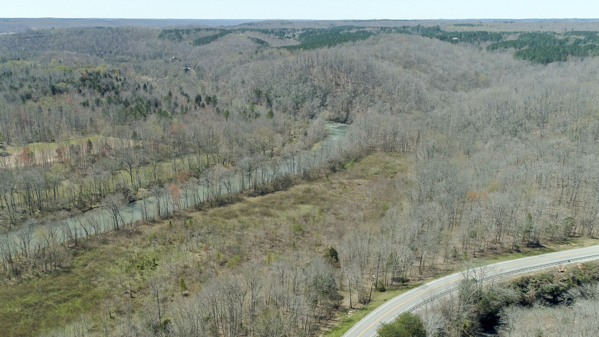 2484 Buffalo Road Hohenwald, TN 38462 - Photo 4 of 14 Gallery Image 4