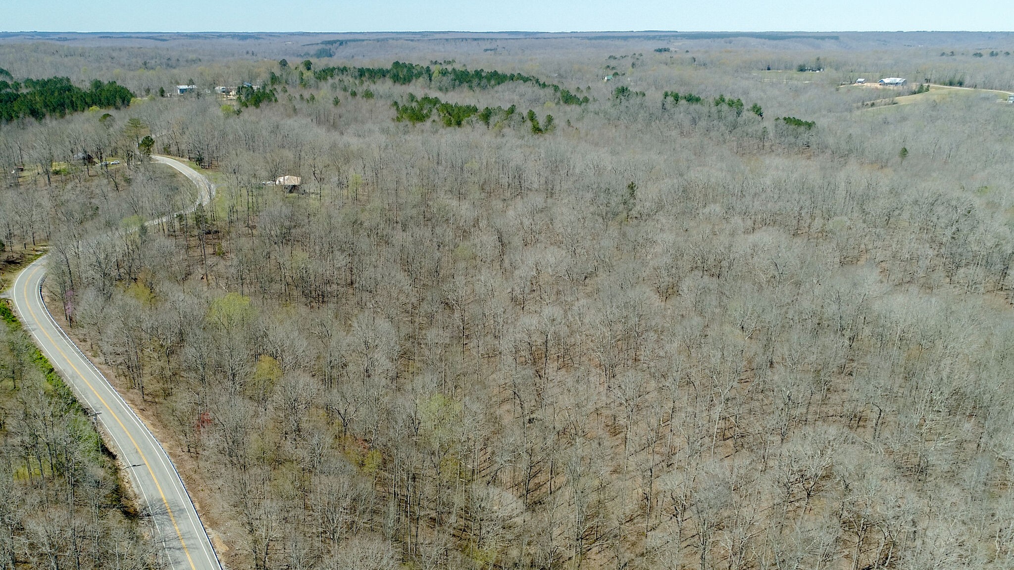 2484 Buffalo Road Hohenwald, TN 38462 - Photo 5 of 14 Gallery Image 5