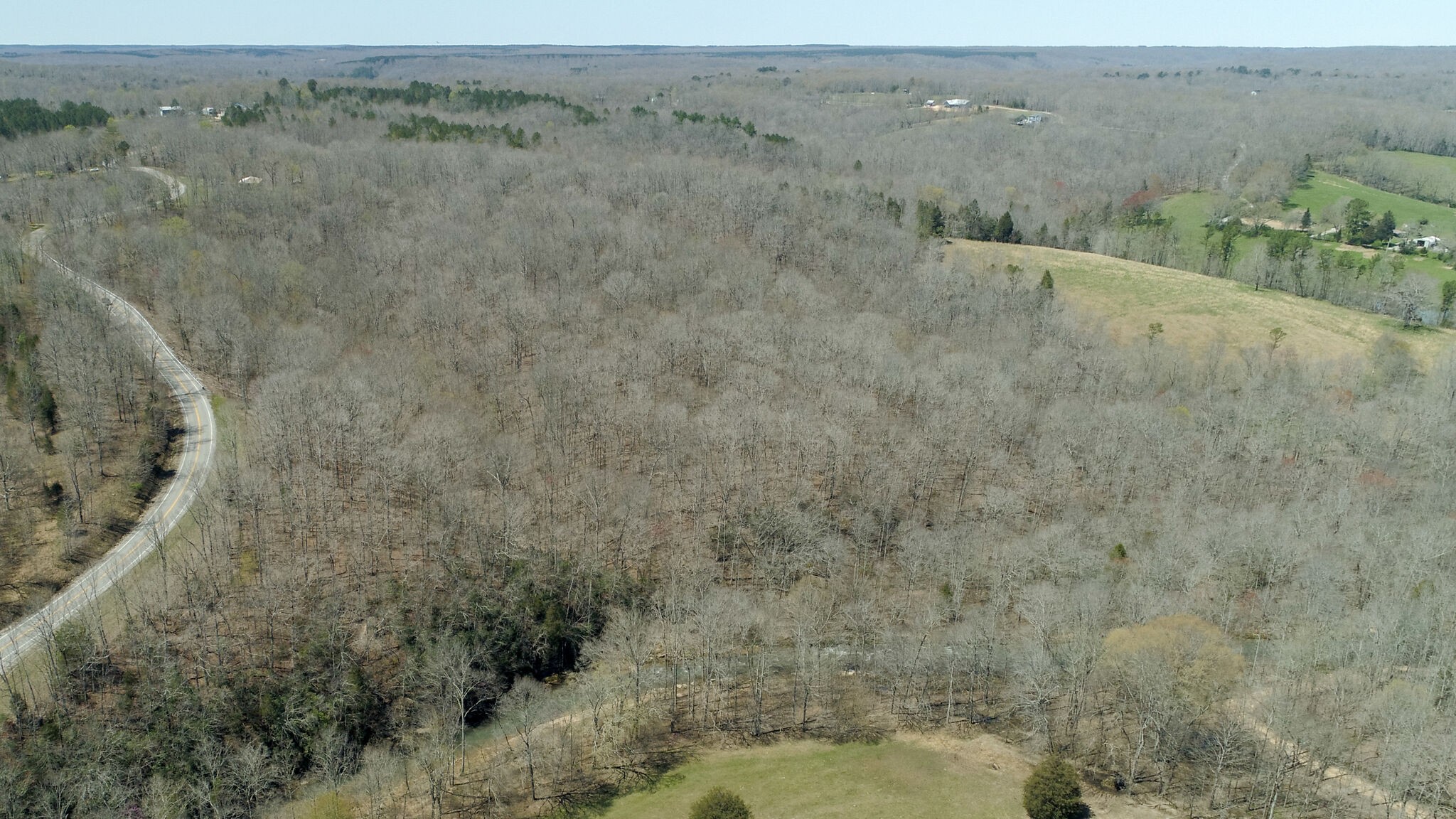 2484 Buffalo Road Hohenwald, TN 38462 - Photo 8 of 14 Gallery Image 8