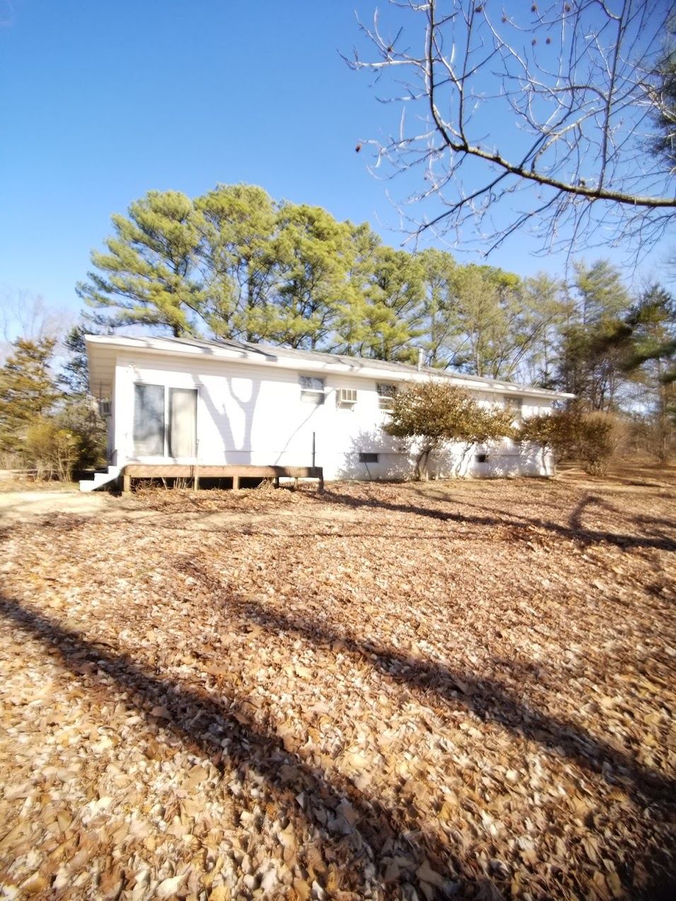 480 Midway Road Makanda, IL 62958 - Photo 14 of 49 Gallery Image 14