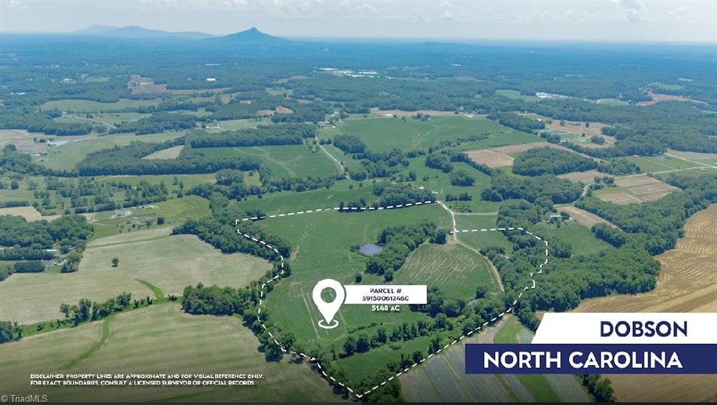 460 Greene Road Dobson, NC 27017 - Photo 1 of 49