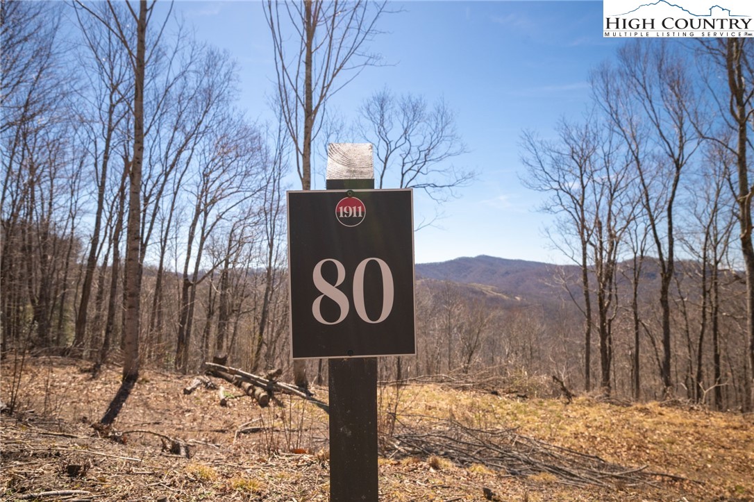 Lot 80 Bear Paw Road Elk Park, NC 28622 - Photo 4 of 19