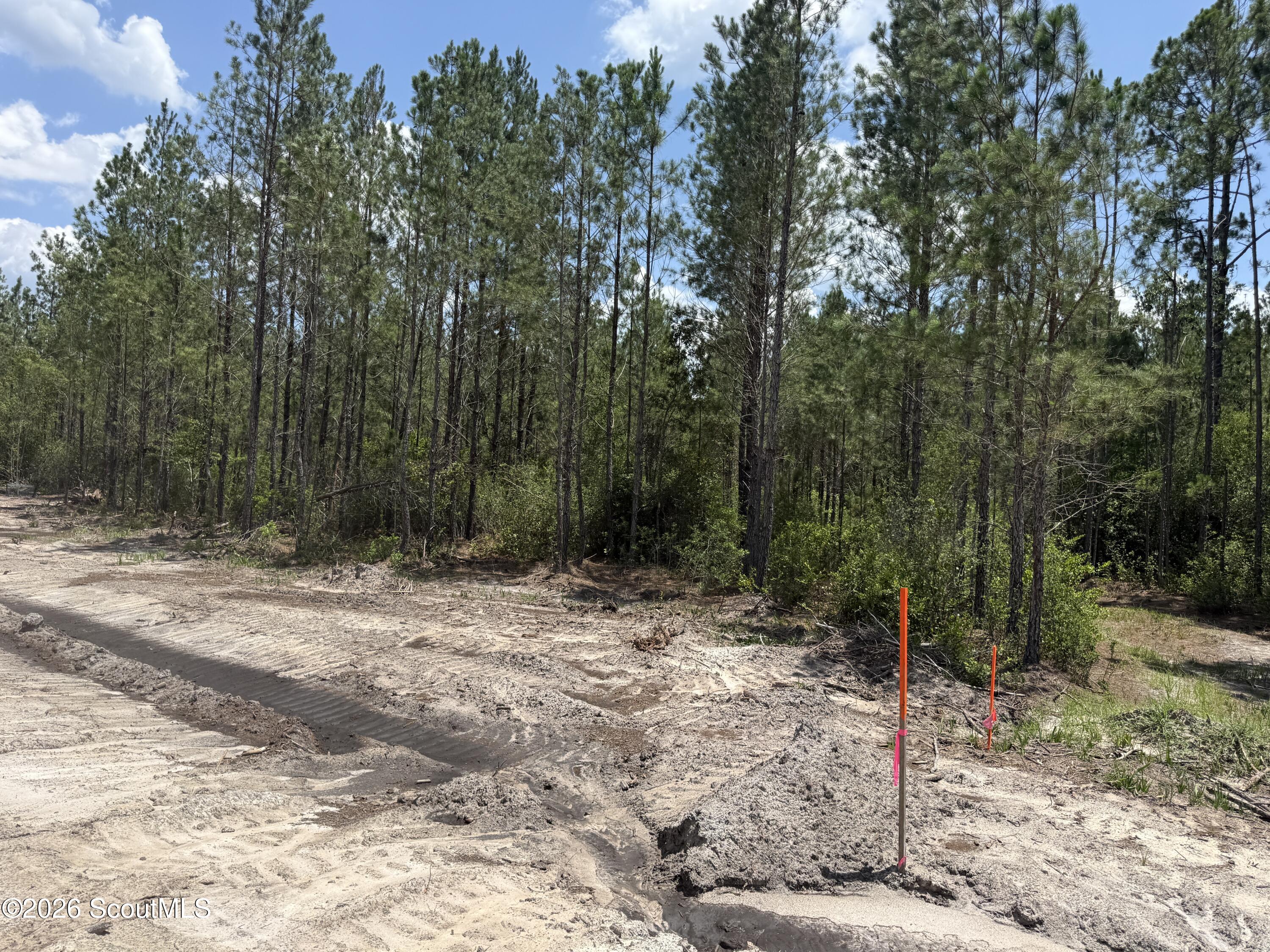 Lot 10 Corbitt Road, Unit LOT 10 Manor, GA 31550 - Photo 6 of 8 IMG_8065