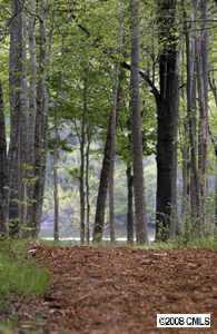 8835 Island Point Road, Unit 124 Charlotte, NC 28278 - Photo 4 of 8 Gallery Image 4