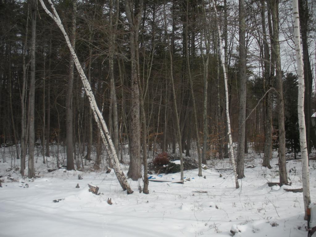7 Hunters Lane Merrimack, NH 03054 - Photo 20 of 33 Gallery Image 20