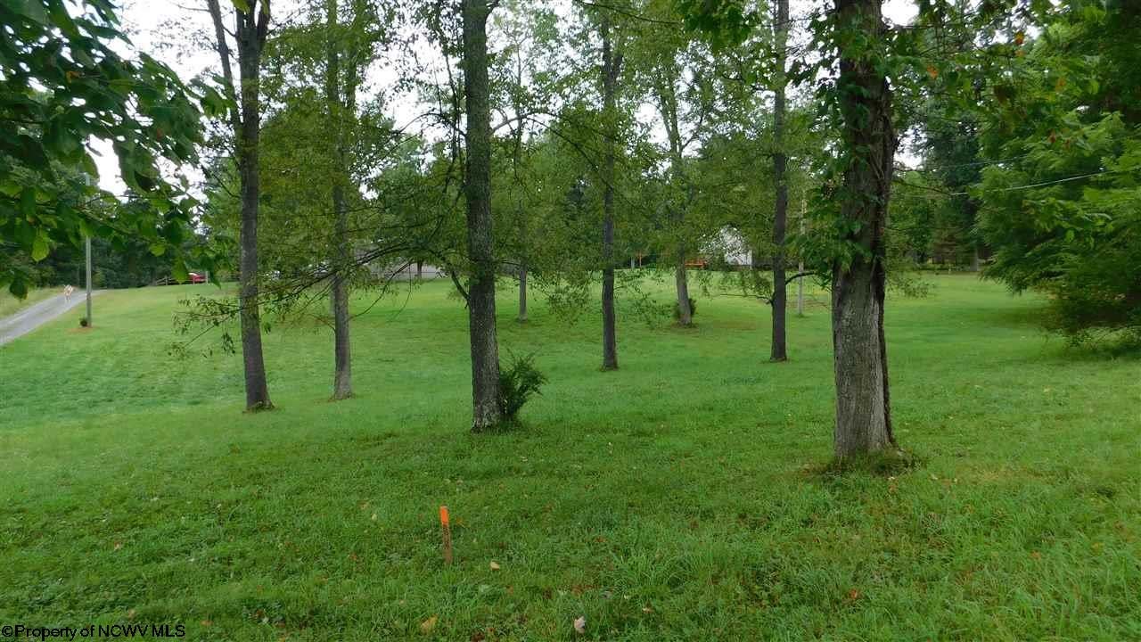 Lot 25 Emerald Reedsville, WV 26547 - Photo 1 of 2 Gallery Image 1