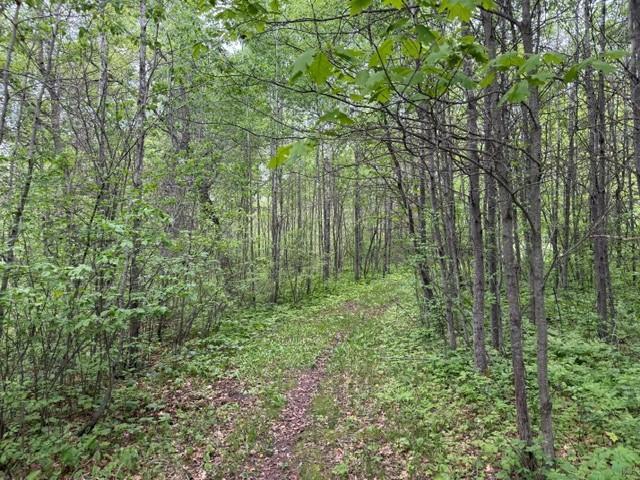 40781 County 2 Bagley, MN 56621 - Photo 11 of 15
