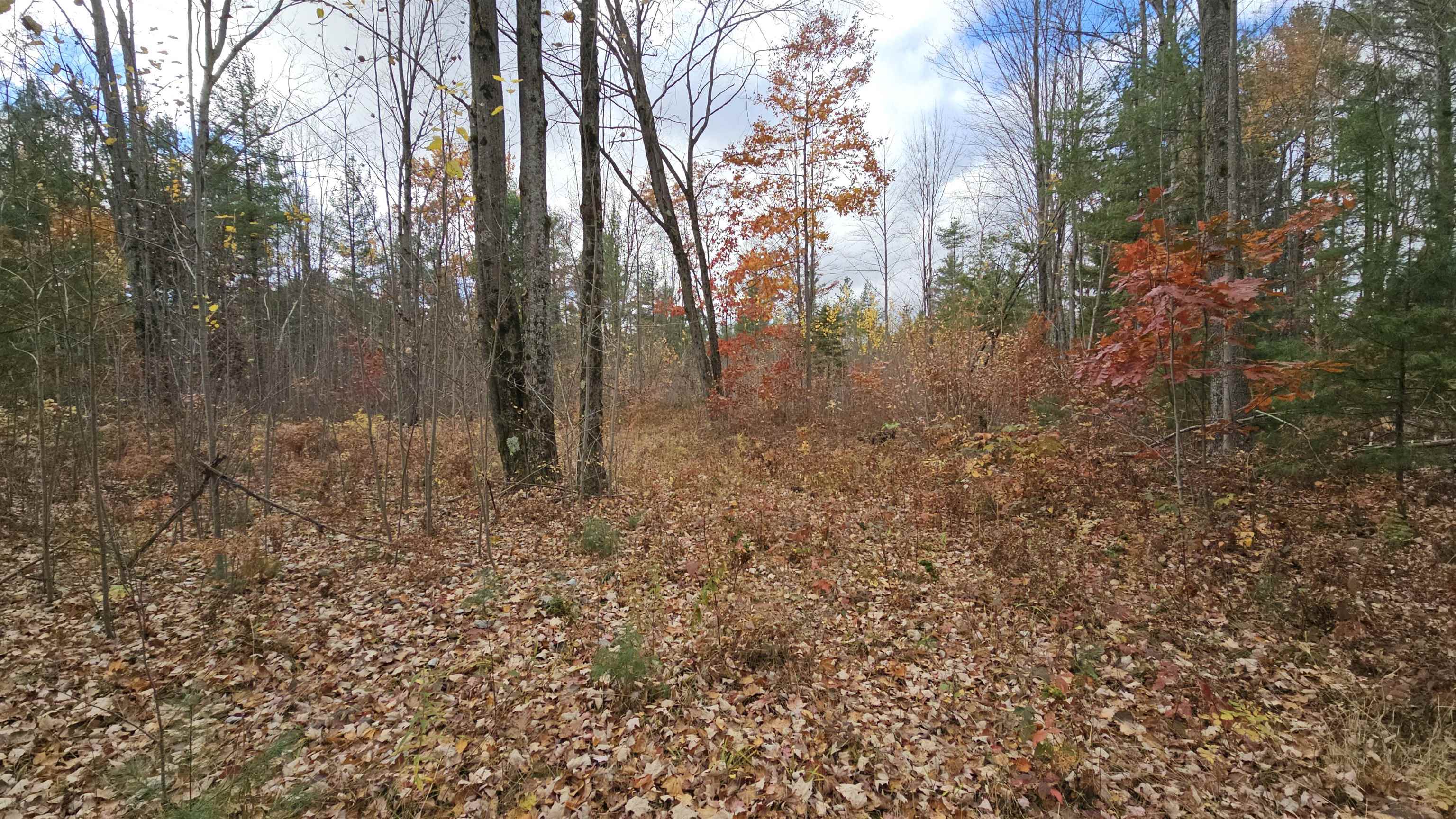0 South Morrison Road West Branch, MI 48661 - Photo 4 of 9