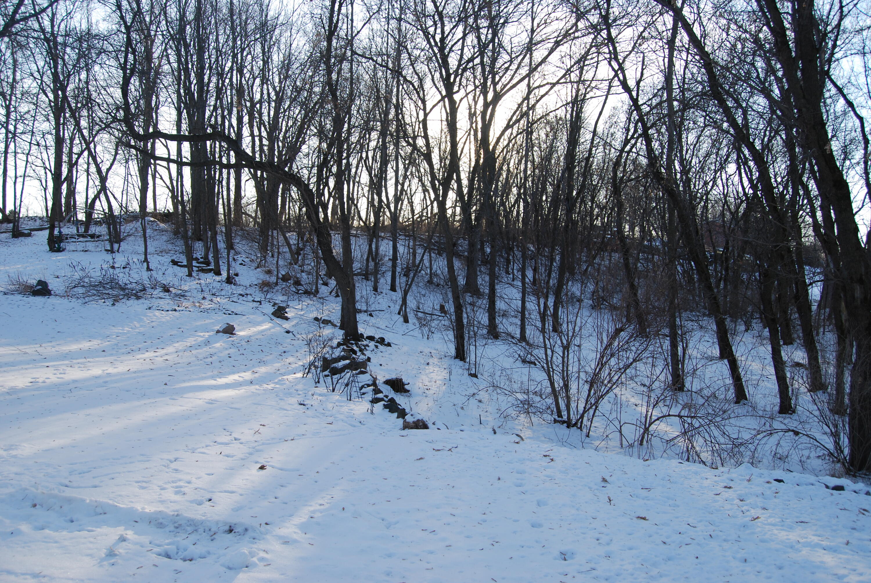 N6715 County Rd I Fredonia, WI 53021 - Photo 51 of 61 Plush back yard