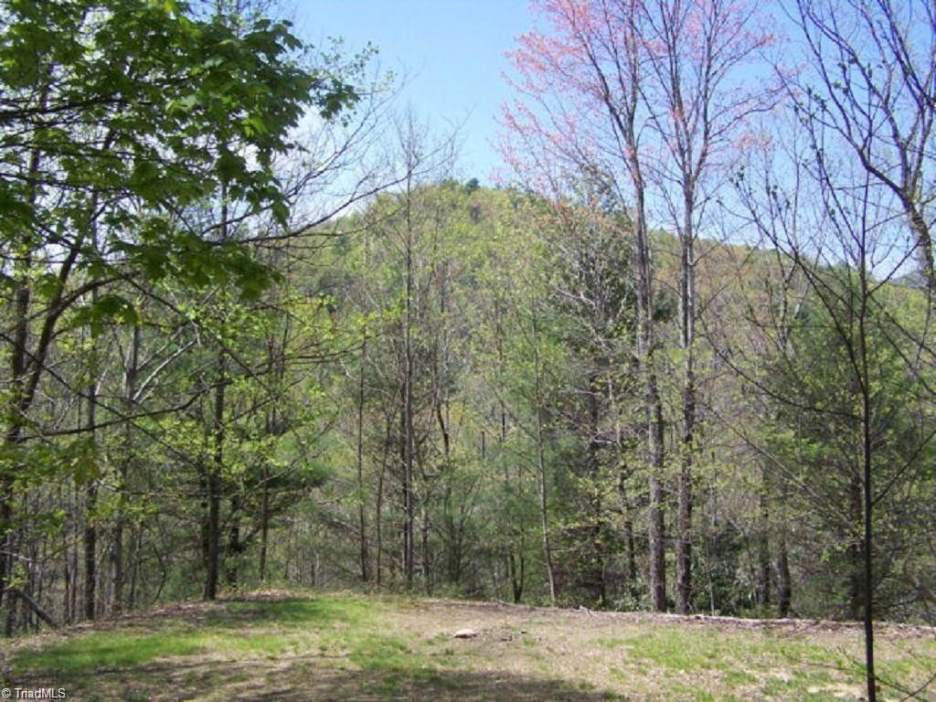12 Rebel Road Purlear, NC 28665 - Photo 1 of 6 Gallery Image 1