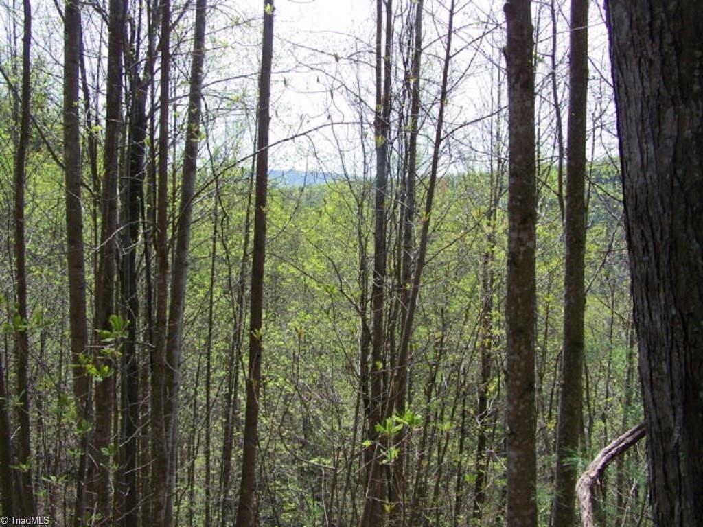 12 Rebel Road Purlear, NC 28665 - Photo 3 of 6 Gallery Image 3