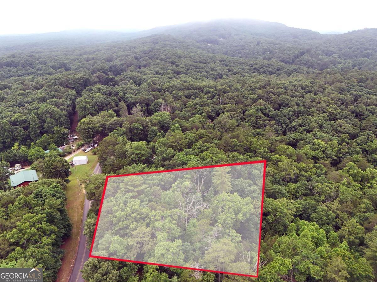 Lot 3 Cook Henry Road Blairsville, GA 30512 - Photo 11 of 18