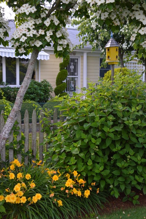 3219 Main Road Tiverton, RI 02878 - Photo 17 of 26 a plant is in front of the house