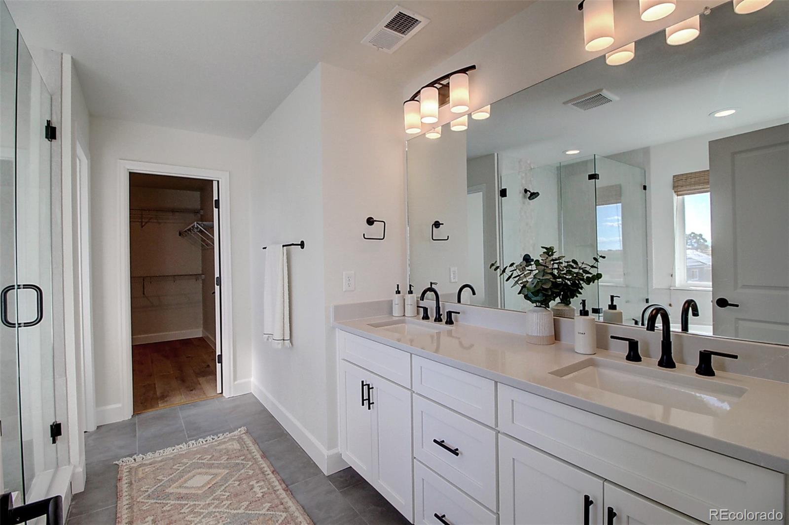 1013 Gabriella Lane Berthoud, CO 80513 - Photo 22 of 39 a bathroom with a sink a potted plant and a mirror