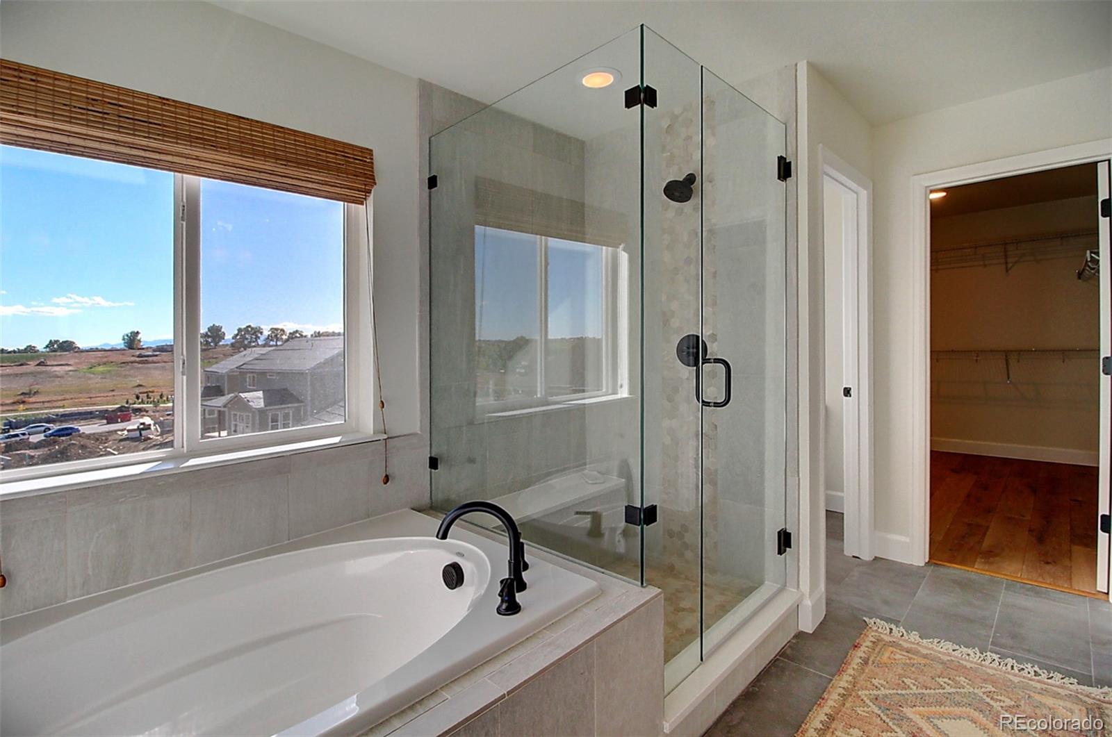 1013 Gabriella Lane Berthoud, CO 80513 - Photo 25 of 39 a bathroom with a tub shower and sink