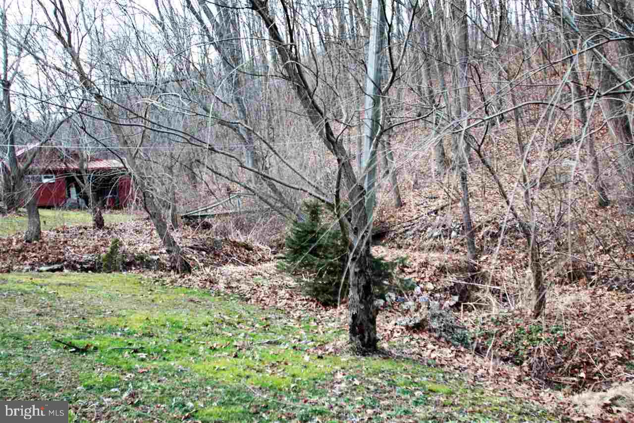1835 Cherry Tree Road Felton, PA 17322 - Photo 12 of 24