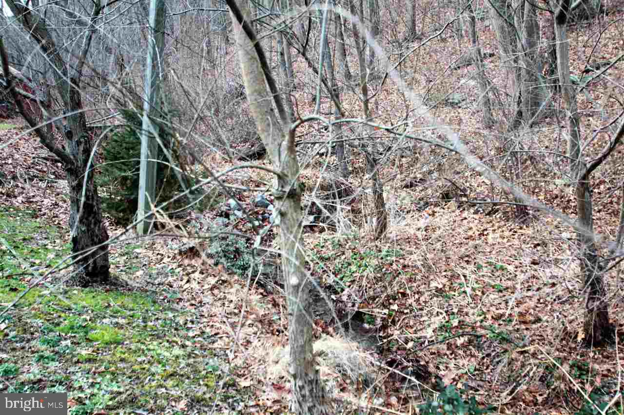 1835 Cherry Tree Road Felton, PA 17322 - Photo 13 of 24