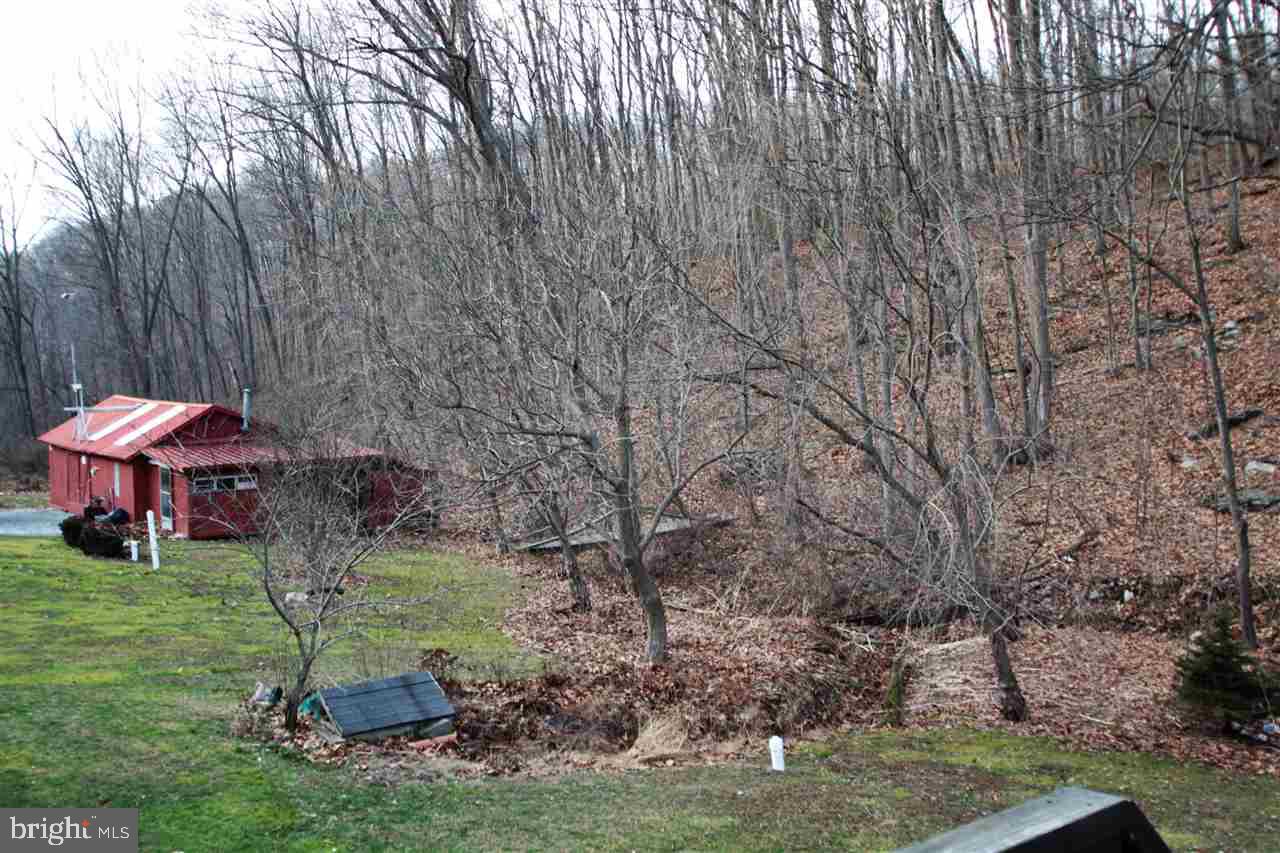 1835 Cherry Tree Road Felton, PA 17322 - Photo 9 of 24