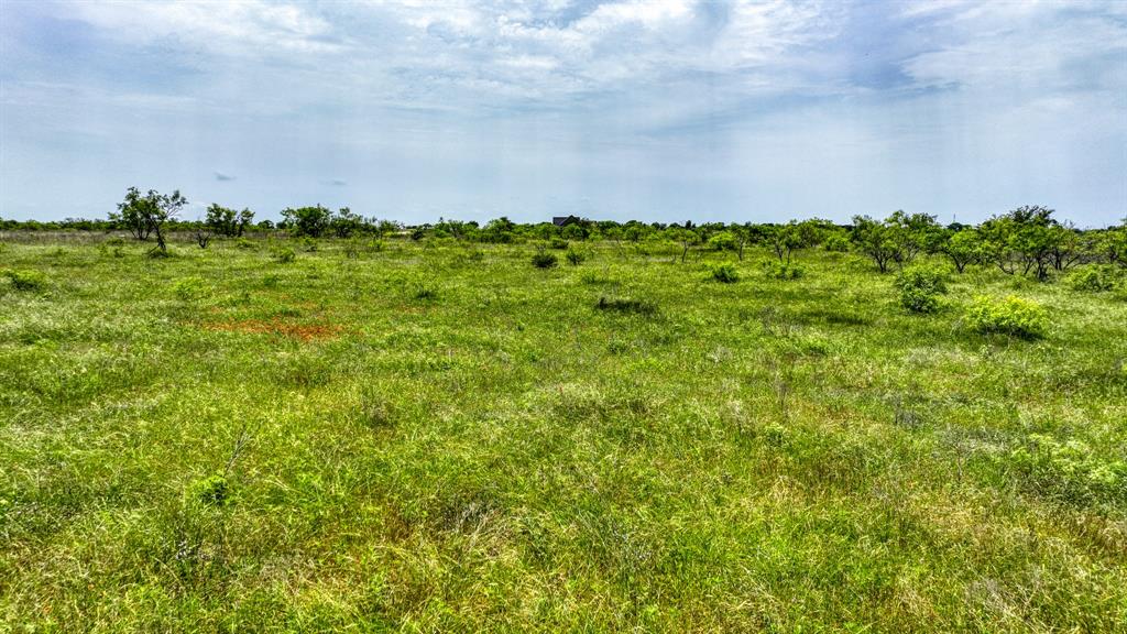 2081 Fm-52 Weatherford, TX 76088 - Photo 3 of 11