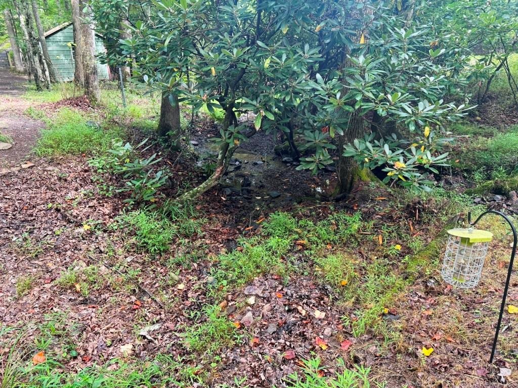 2543 Crawfish Road, Unit 2A & 4A Rural Retreat, VA 24368 - Photo 11 of 34 Gallery Image 11