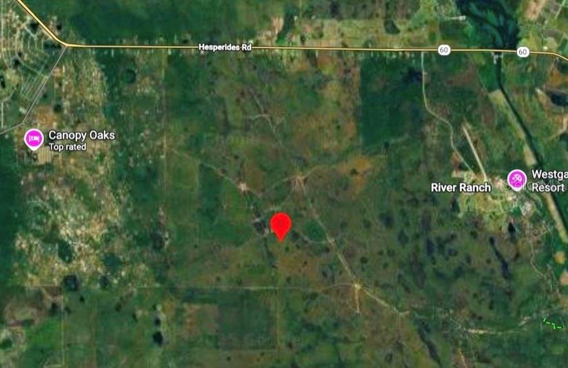 River Ranch Boulevard Punta Gorda, FL 33982 - Photo 3 of 7 a garden view with a plant