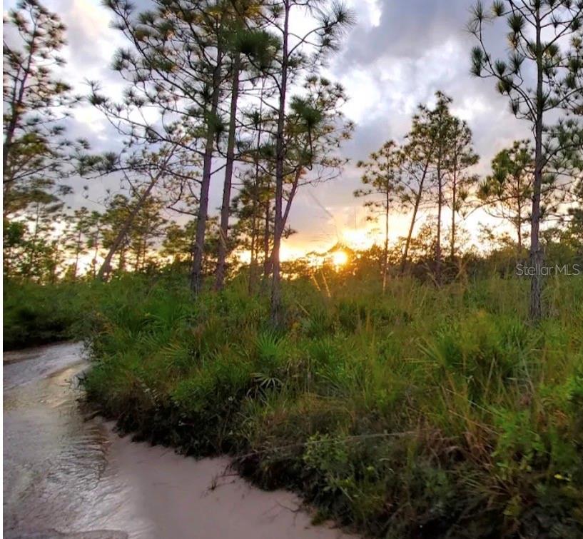 River Ranch Boulevard Punta Gorda, FL 33982 - Photo 4 of 7 a view of a trees