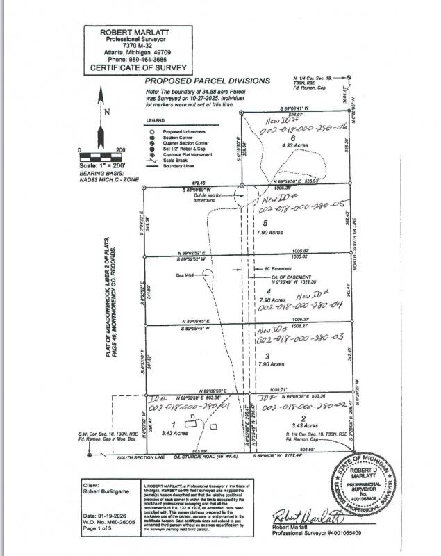 13300 Sturgis Road Atlanta, MI 49709 - Photo 2 of 29 Sturgis Rd Parcel Division
